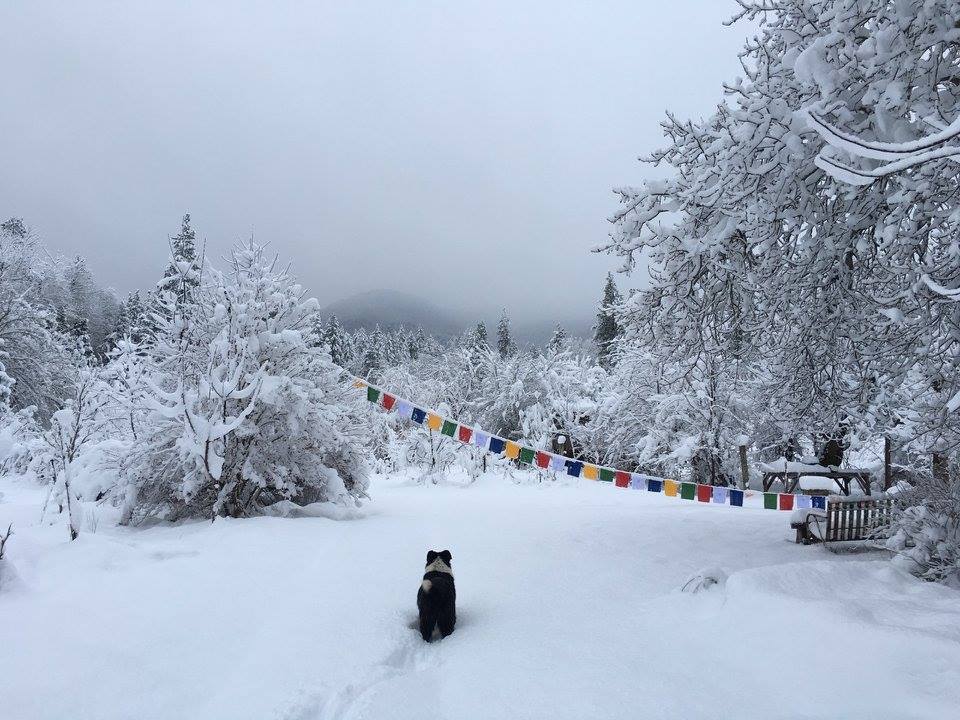 Midwinter Update 2/1/21