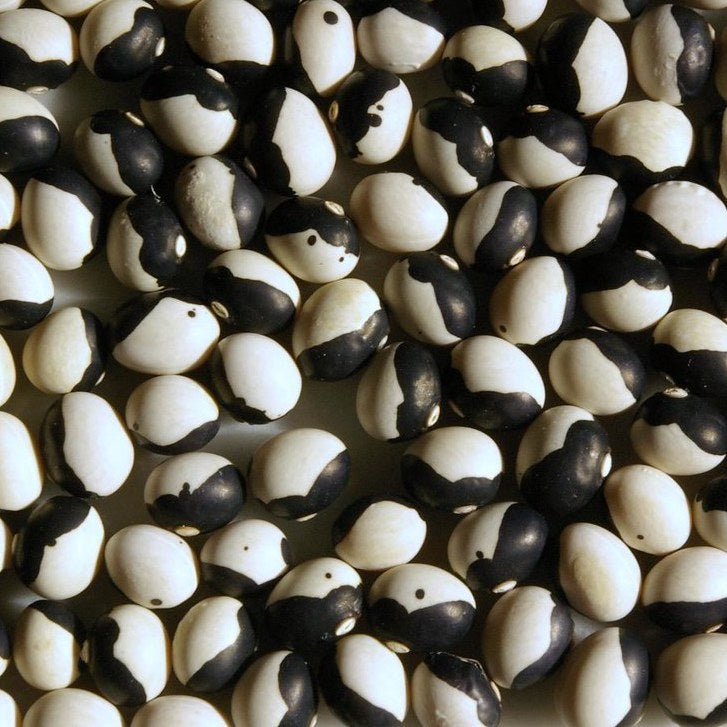 How do I Know if My Seeds Are Still Good?