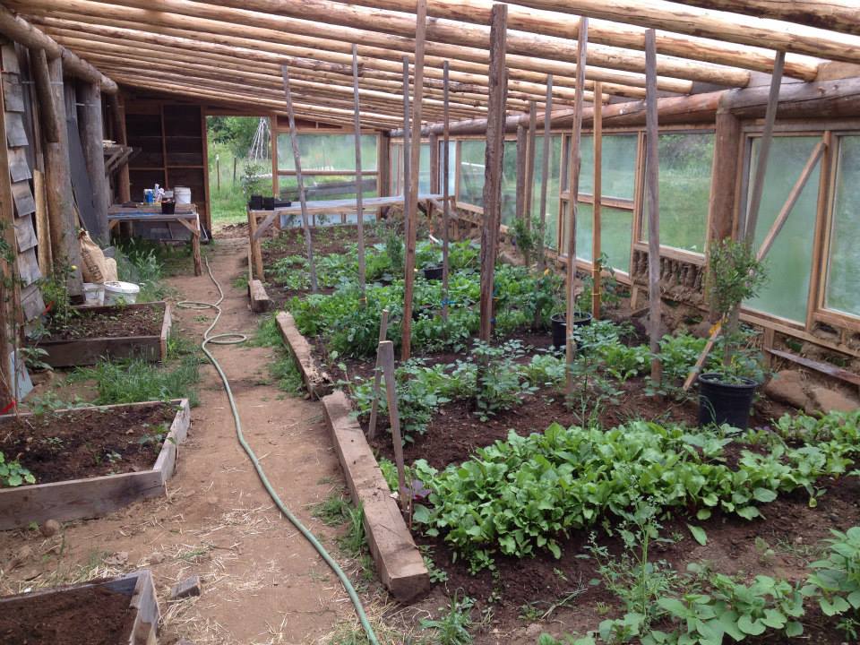 Seed Starting Basics