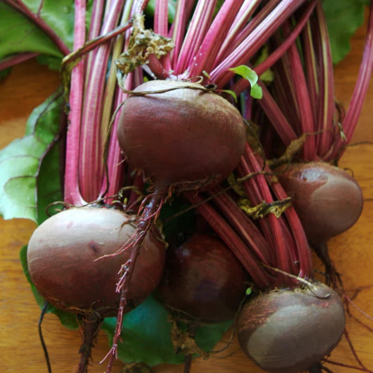 Fall Harvest: 5 Vegetables to Keep Your Table Full