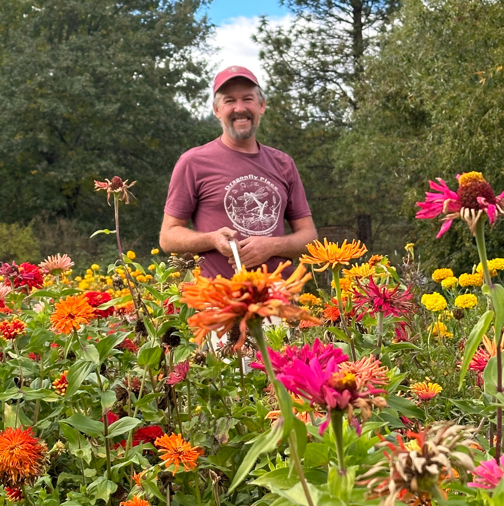 Zealous for Zinnias
