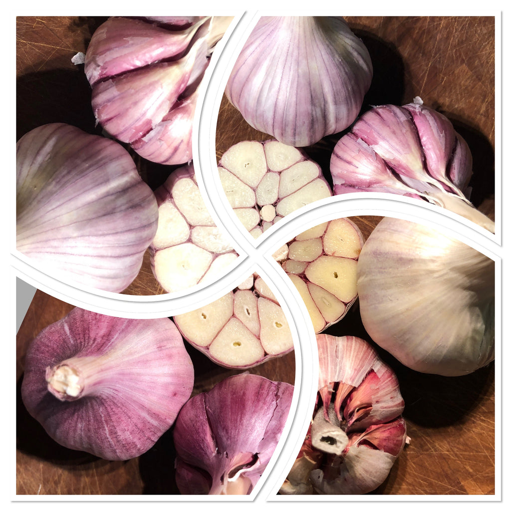 All the Delightful Ways to Eat Garlic!