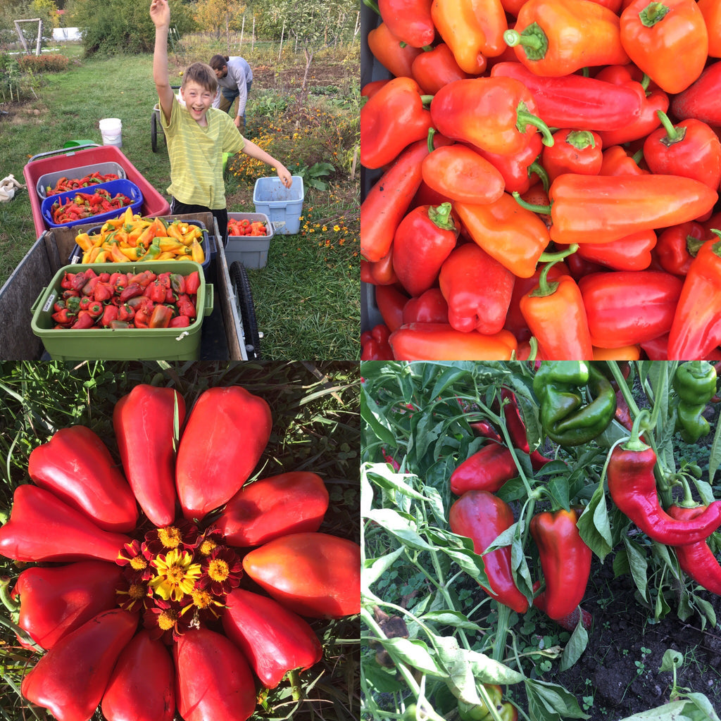 Favorite Peppers!