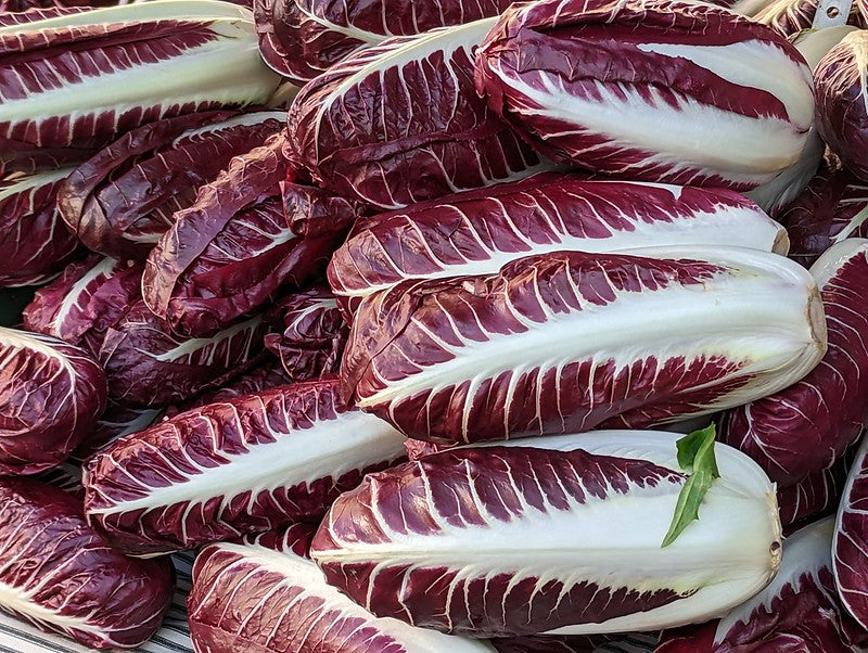 Wondrous World of Chicory