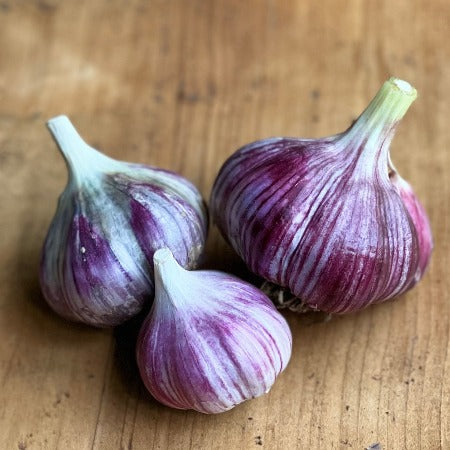 Garlic, Zemo Mtsara - Certified Organic