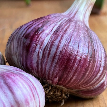 Garlic, Zemo Mtsara - Certified Organic