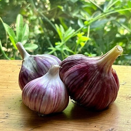 Garlic, Zemo Mtsara - Certified Organic