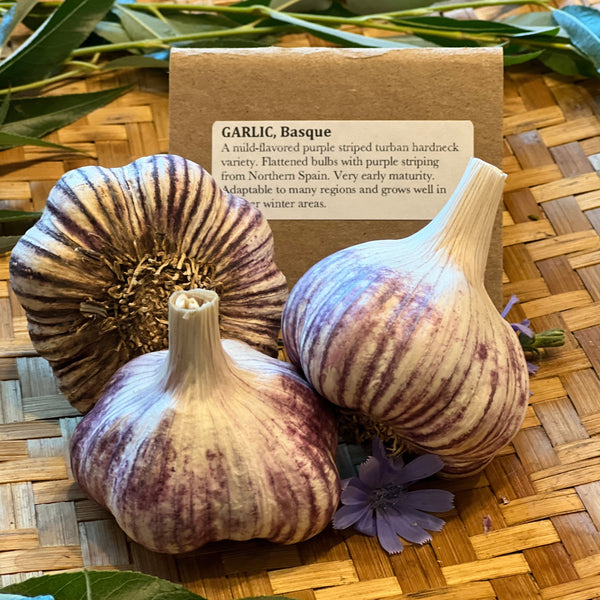 Garlic, Basque - Certified Organic