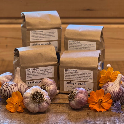 Garlic Sampler, Hardneck - Certified Organic