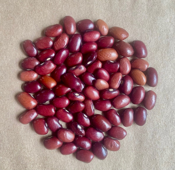 Beans, Domingo Roja