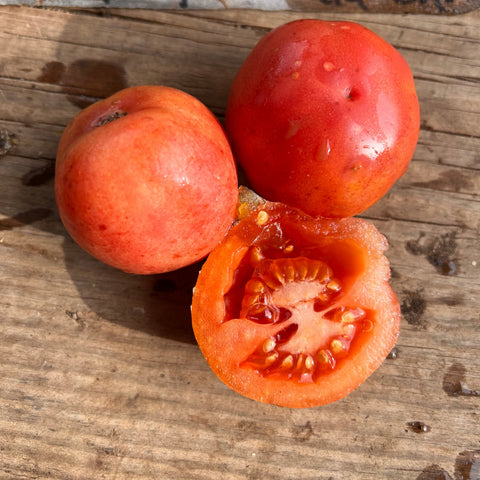 Tomato, de Colgar Mala Cara, Storage