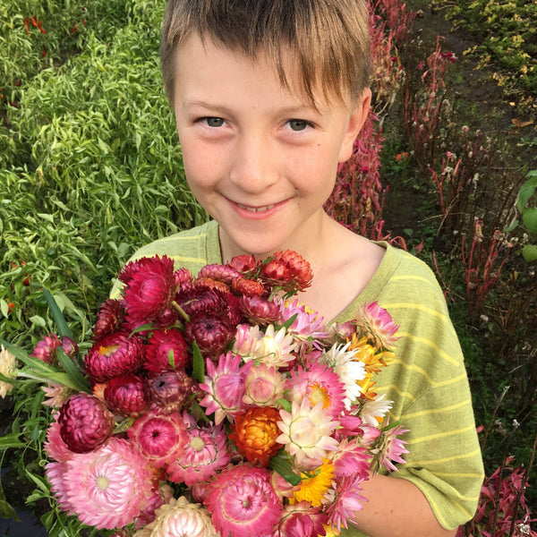 Seed CSA, Flower