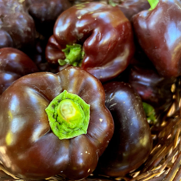 A basket of shiny  chocolate brown bell peppers