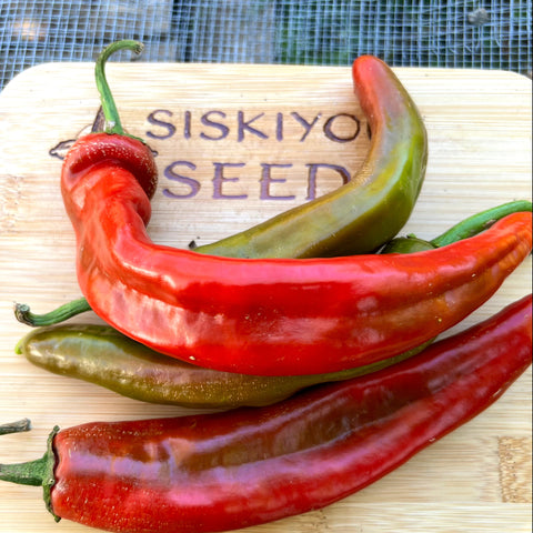 Pepper, Tome Nativo