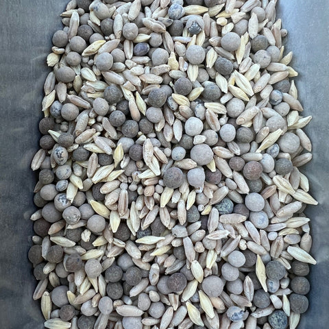 Cover Crop, Rich Mix