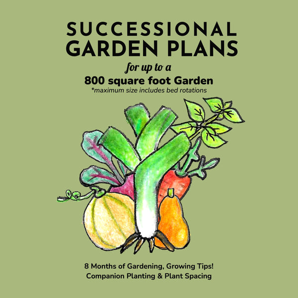 Garden Plan Seed Bundle