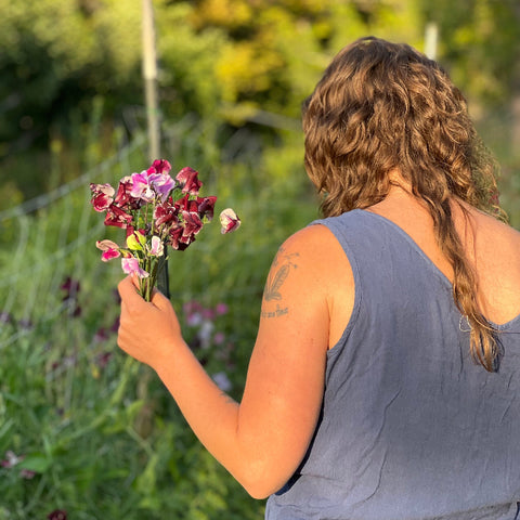 Seed CSA, Flower