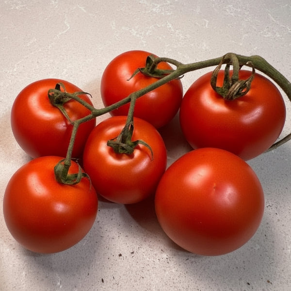 Red tomatoes on a branch on a light gray surface