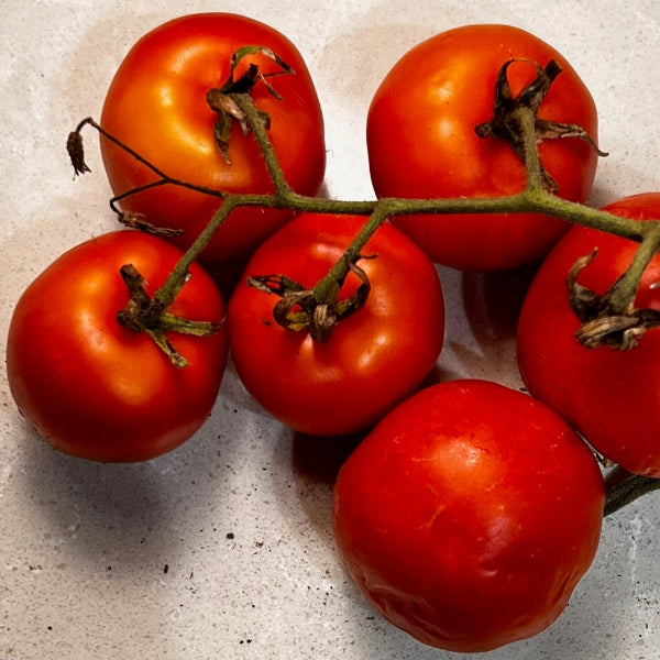 Tomato, Annarita
