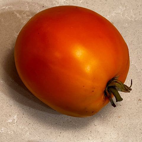 Tomato, Kanti’s Gold