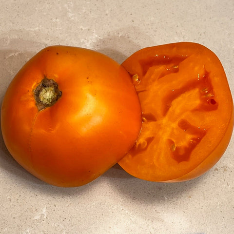 Tomato, Kanti’s Gold