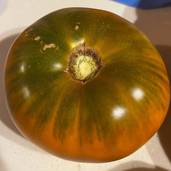 Kiwi Mango tomato on a white background with blue label