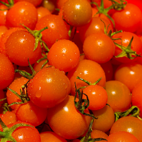 Tomato, Sweet Orange II
