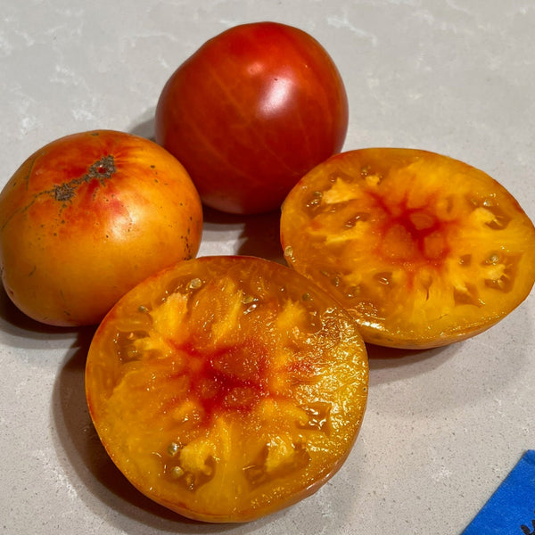 Three tomatoes on a white surface, one cut open to show interior.
