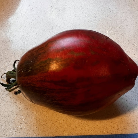 Tomato, Rebel Starfighter Prime