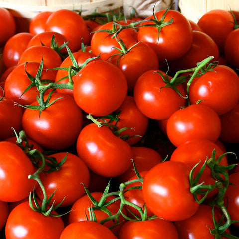 Tomato, Stupice