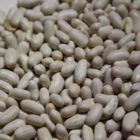 Beans, Cannellini
