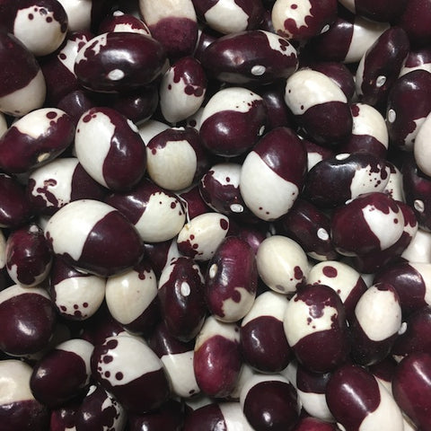 Beans, Tuscany Pole