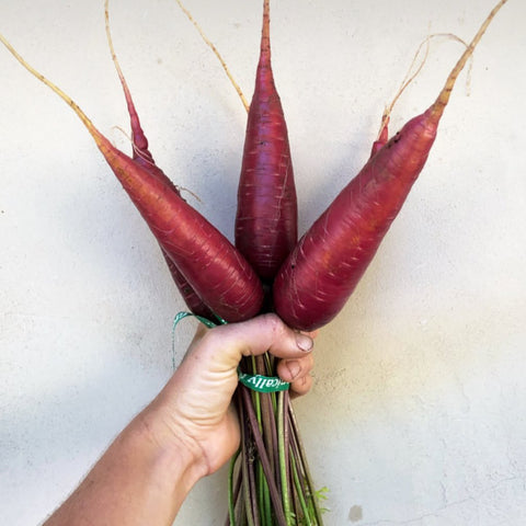Carrot, Cosmic Purple