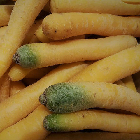 Carrot, Yellowstone