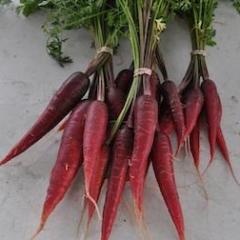 Farmer Don's Favorites Bundle