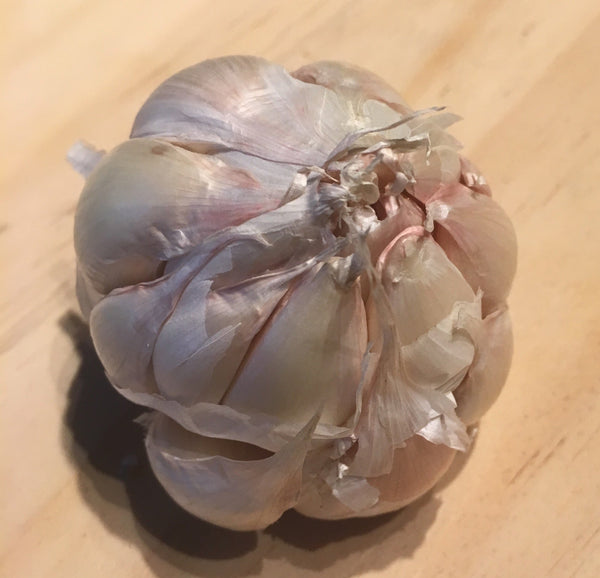 Garlic Sampler - Certified Organic