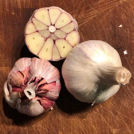 Garlic Sampler - Certified Organic