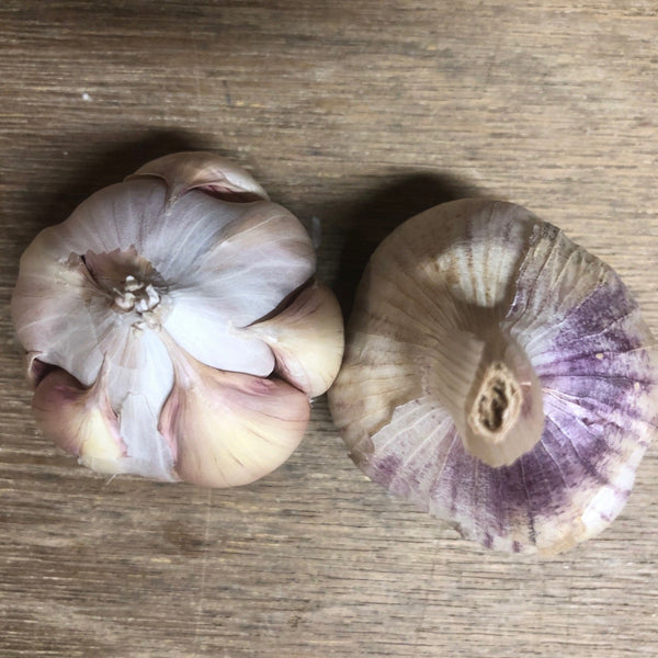 Garlic Sampler - Certified Organic
