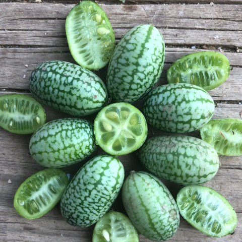 Gerkin, Mexican Sour