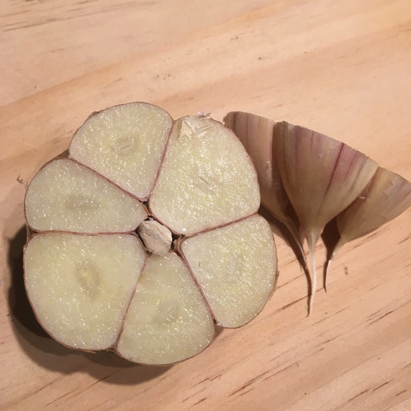 Garlic, German White - Certified Organic