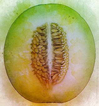 Melon, Ice Cream
