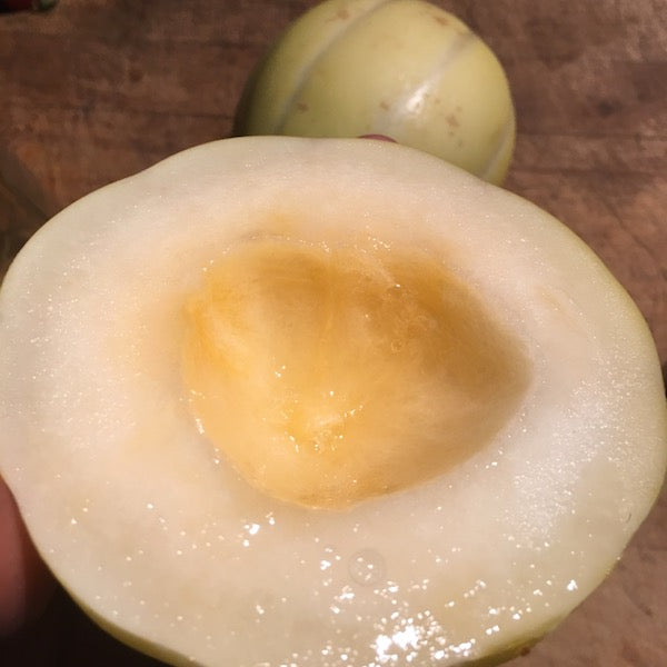Swan Lake Melon, organic, open pollinated