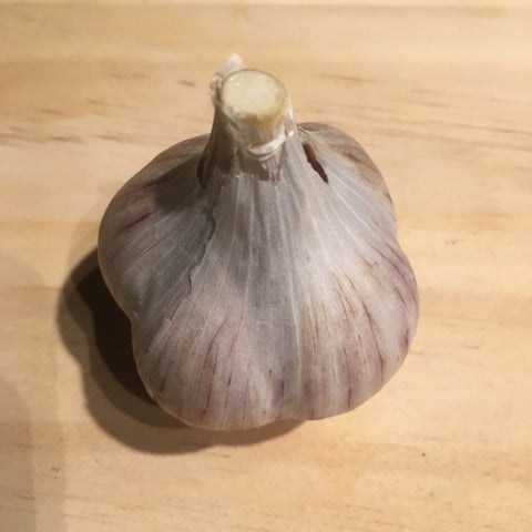 Garlic, Music - Certified Organic