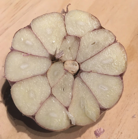 Garlic Sampler, Hardneck - Certified Organic