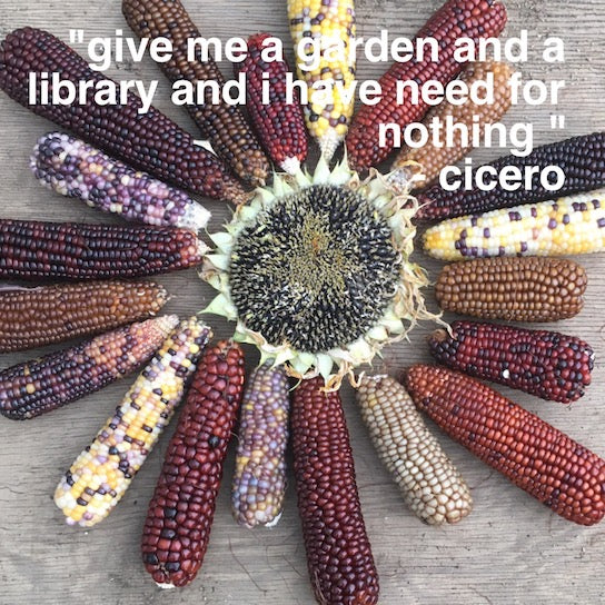 Heirloom Garden Bundle
