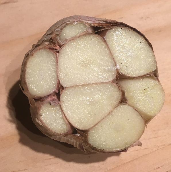 Garlic, Siskiyou Purple - Certified Organic
