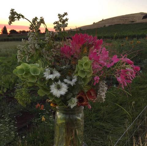 Pollinator Mix, Annual Early Flowering/ Cool Season