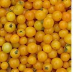 Tomato, Galina's Cherry