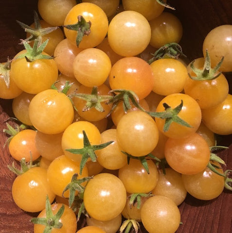 Tomato, Champagne Bubbles