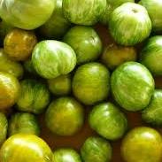 Tomato, Green Zebra